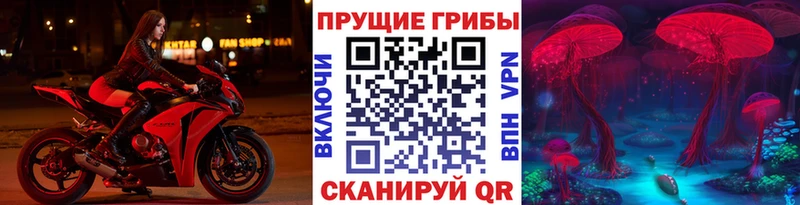 Купить  Луга  Галлюциногенные грибы GOLDEN TEACHER 